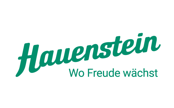 neues Hauenstein-Logo